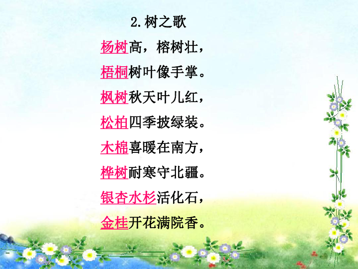 树之歌课件（19张PPT）