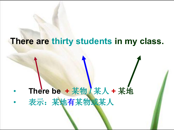 Unit 1 Are there many children in your class? 课件（共24张PPT）