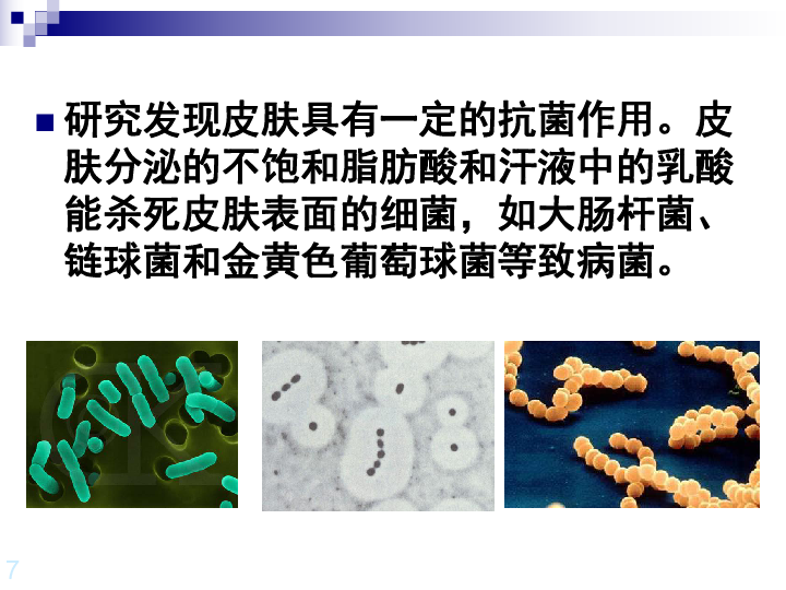 上海版八年级上册生物  3.2.2 人体的免疫功能 课件 (31张PPT)