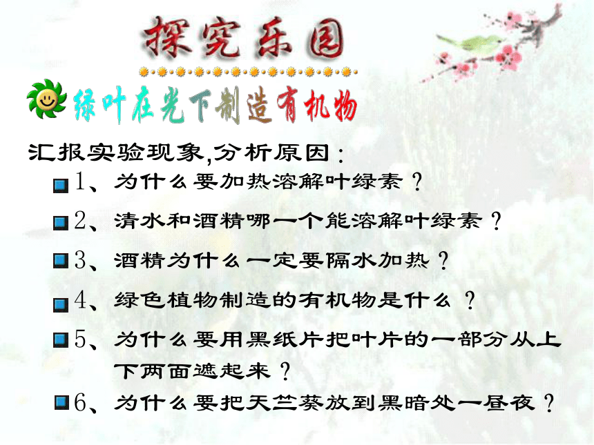 人教版七年级上册生物  3.4 绿色植物是生物圈中有机物的制造者 课件