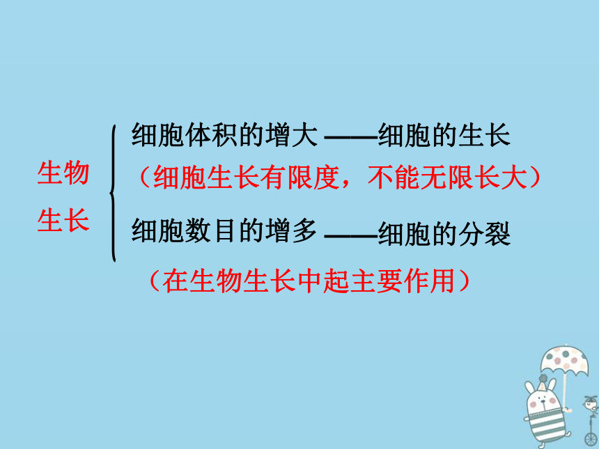 2.2.1细胞通过分裂产生新细胞 课件（24张PPT）