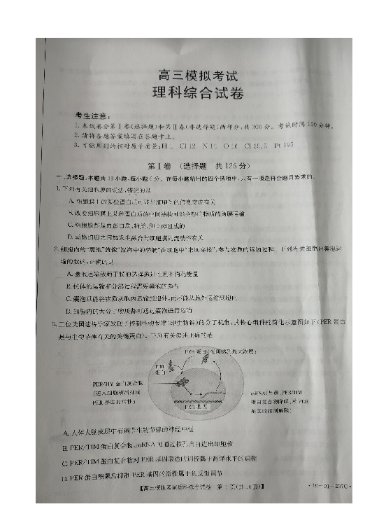 辽宁省辽阳市2019届高三下学期一模理科综合试题 扫描版含答案