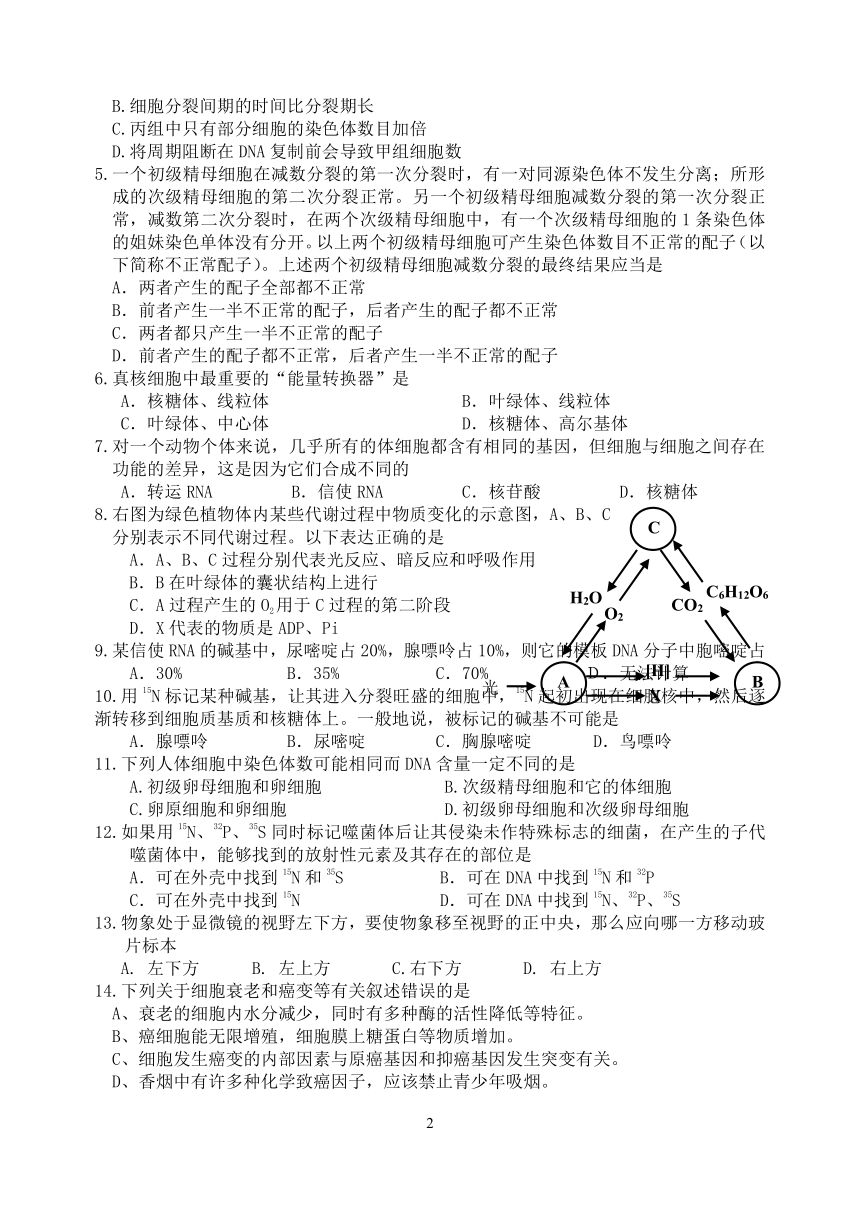 山东省高密二中2006-2007学年度12月份质量检测考试高二生物试题（理科）[上学期]