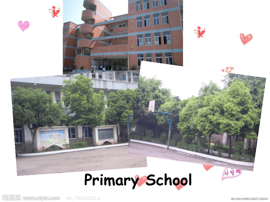 Unit 1 We are going to different schools 课件