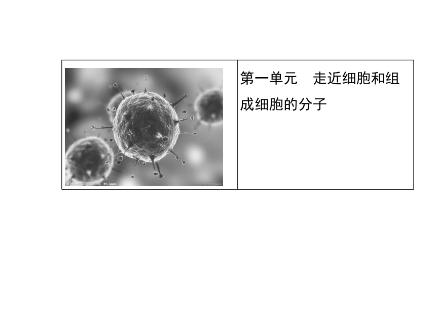 2014届高三生物一轮复习课件： 1.1 走近细胞和组成细胞的分子