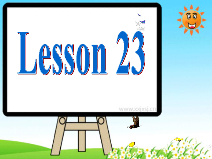Unit 4 I have a ball Lesson 23 课件（23张PPT）
