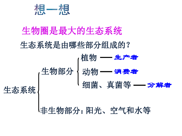 动物在生物圈中的作用课件（18张PPT）