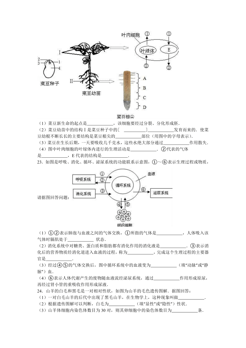 2016年内蒙古鄂尔多斯市康巴什新区中考生物一模试卷（解析版）