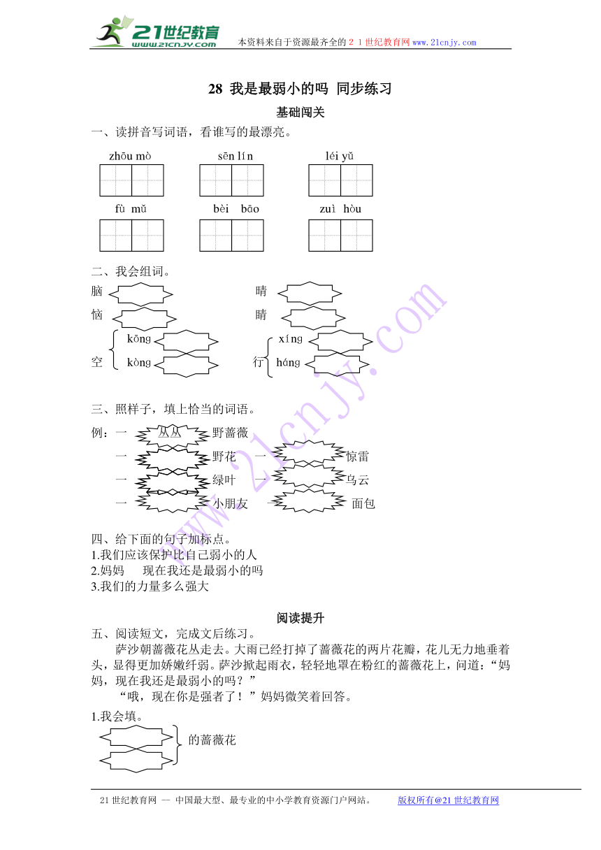 28我是最弱小的吗 同步练习（含答案）