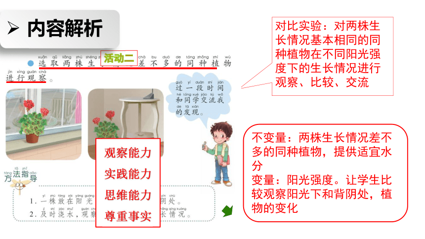 青岛版二年级科学《10 植物和阳光》说课课件（共32张PPT)