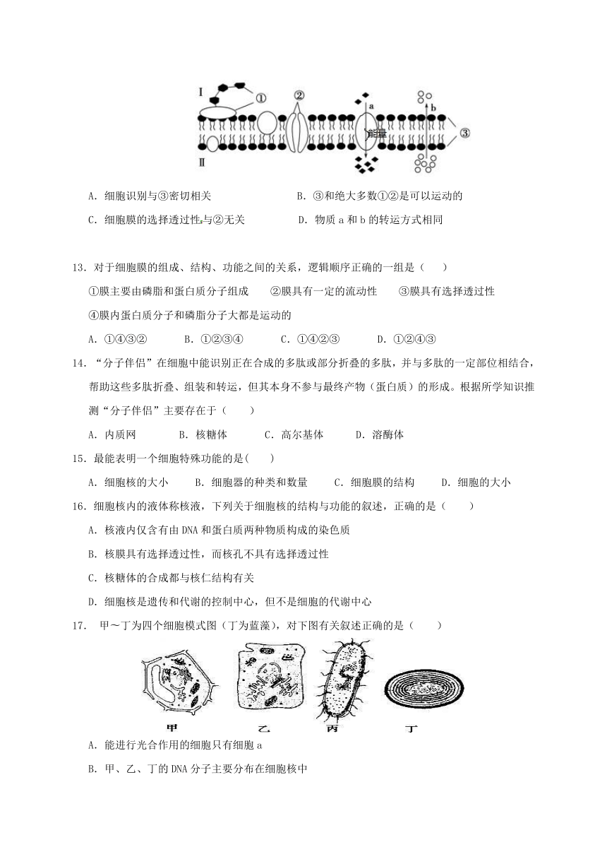 广西南宁市第八中学2016-2017学年高一上学期期末考试生物试题（无答案）