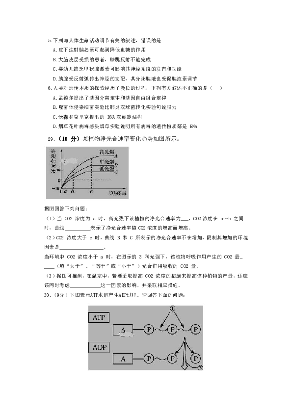 西藏自治区拉萨那曲第二高级中学2020届高三第五次月考理综生物试卷
