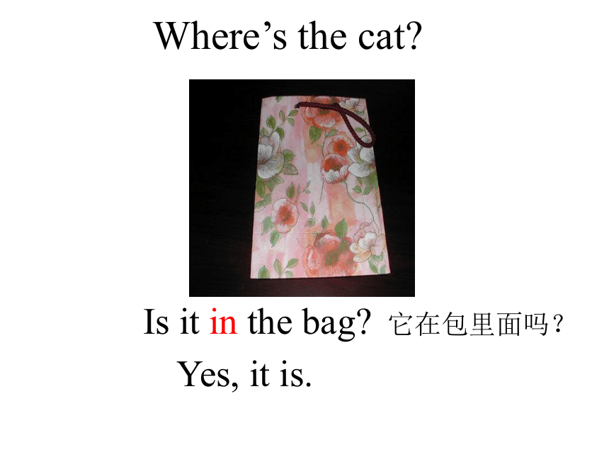 Unit  11  Where's the cat? 课件