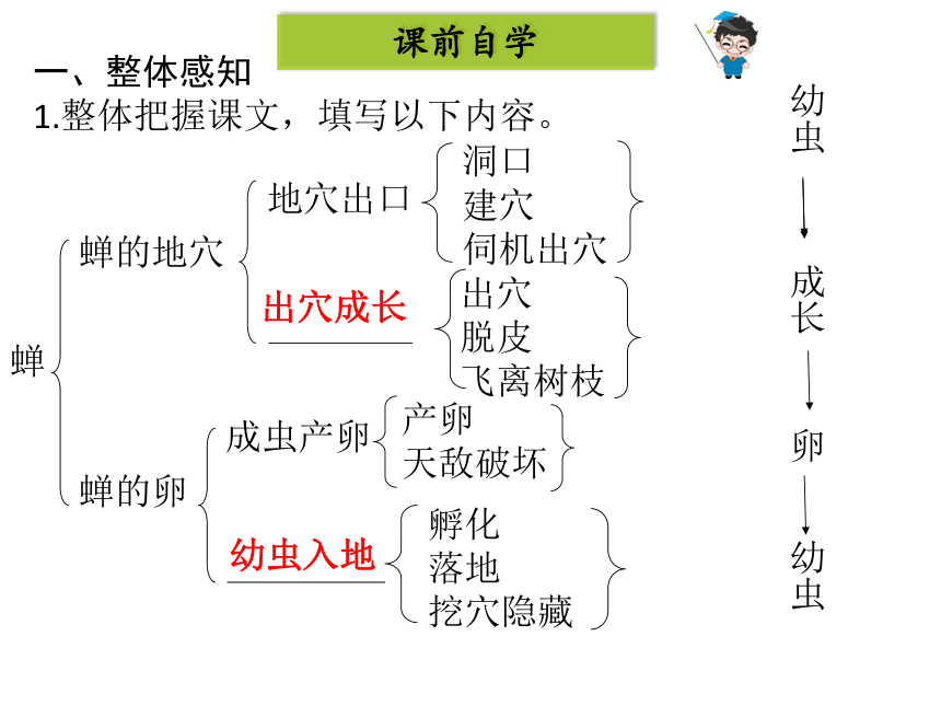 19  蝉课件:33张PPT