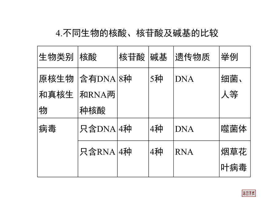 2014届高三生物一轮复习课件： 1.4 细胞中的核酸、糖类和脂质