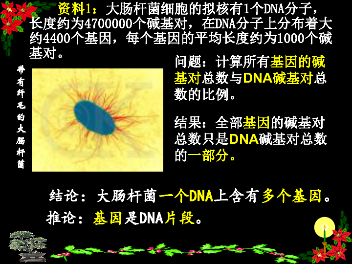人教版高中生物必修二 第三章 第四节 基因是有遗传效应的DNA片段（共25张PPT）