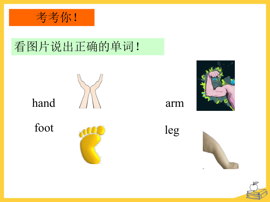 Lesson 6 I can see with my eyes课件 (共16张PPT)