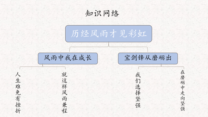 鲁人版道德与法治六年级下册第四单元历经风雨 才见彩虹 复习课件