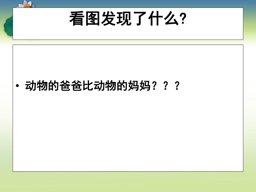 动物怎样繁殖后代课件PPT下载 苏教版五年级科学下册课件