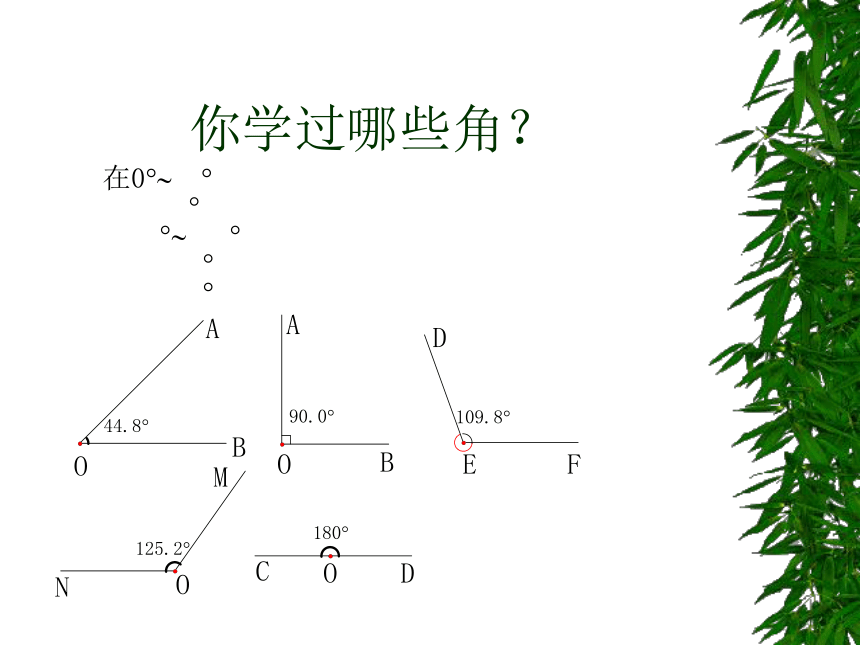 弧长[上学期]