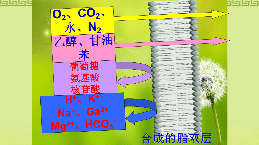 高中生物苏教版第三章第三节物质跨膜运输的方式课件（40张）