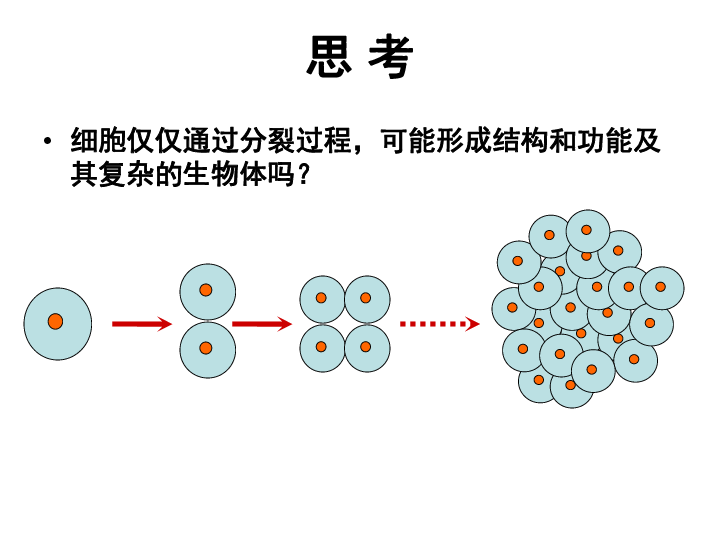 北師大版生物七上41細胞分化形成組織課件共30張ppt