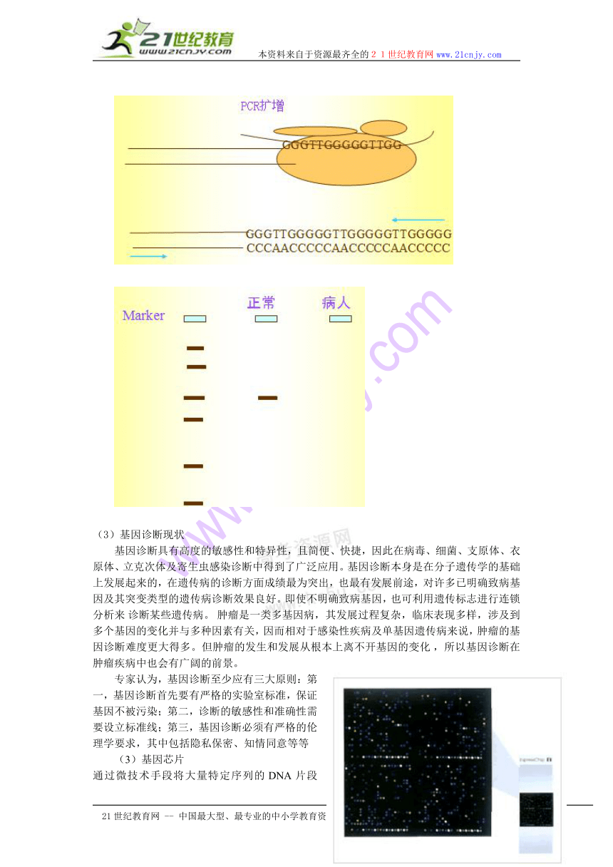 生物：1.2《基因诊断与基因治疗》教案（新人教版选修2）