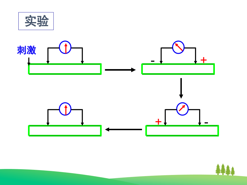 高中生物人教版必修3 第二章第1节通过神经系统的调节 课件（28PPT）