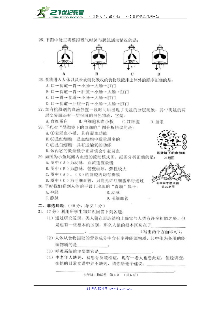 广西省昭平县2017-2018学年七年级下学期期中考试生物试题（扫描版，含答案）