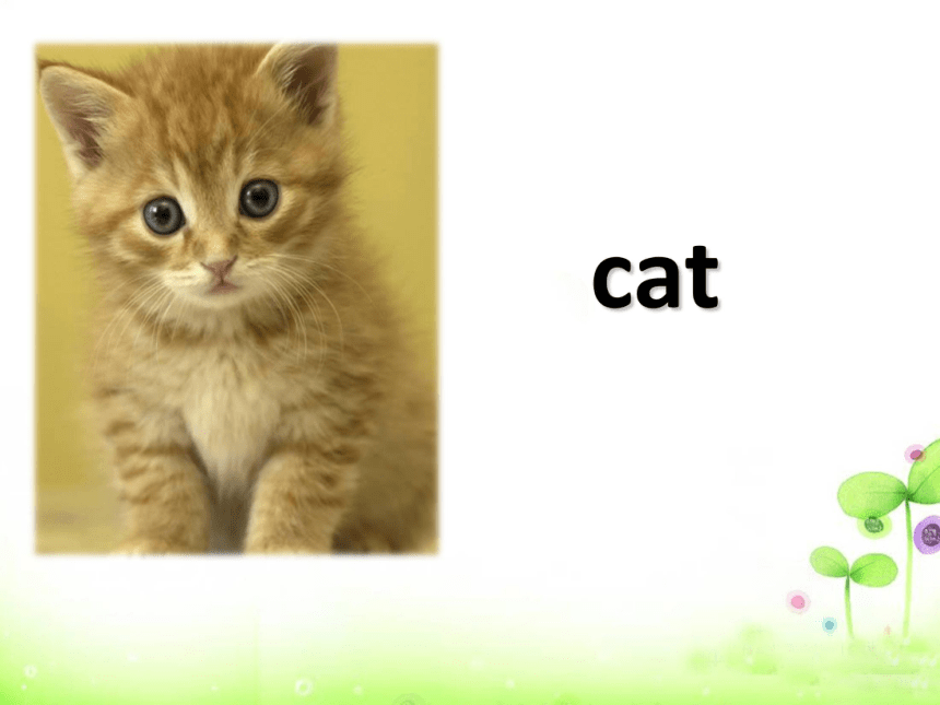 Unit 1 Animals on the Farm Lesson 2 Cats and Dogs 课件