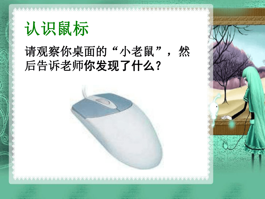 认识鼠标 课件