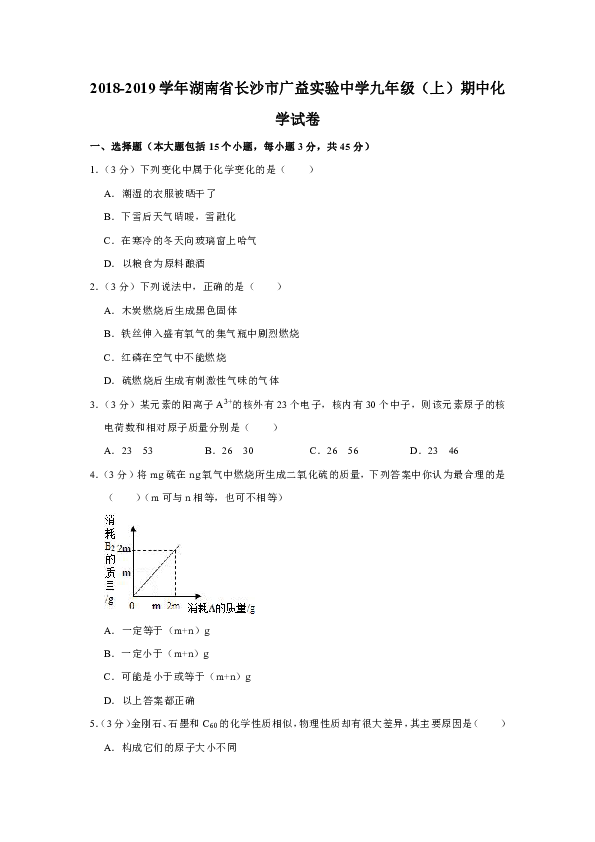 2018-2019学年湖南省长沙市广益实验中学九年级（上）期中化学试卷(解析版）