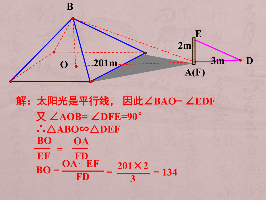27.2.2相似三角形应用举例