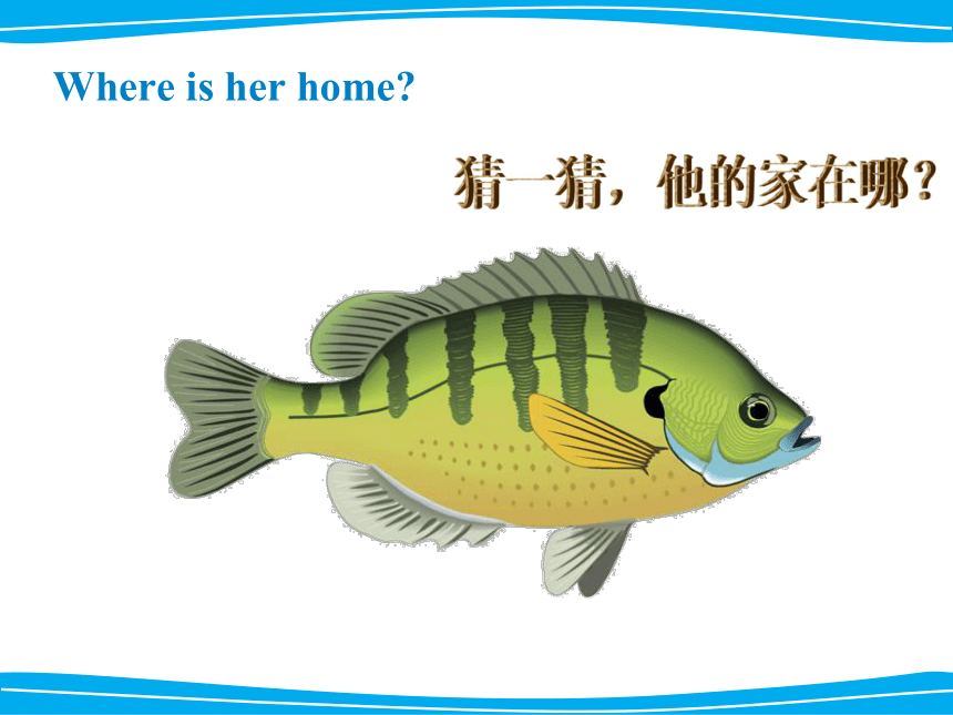Unit 1 Home sweet home Lesson 2 课件