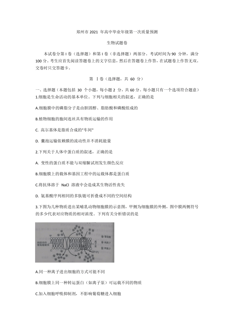 河南省郑州市2021届高三上学期第一次质量预测（1月）生物试卷      含答案