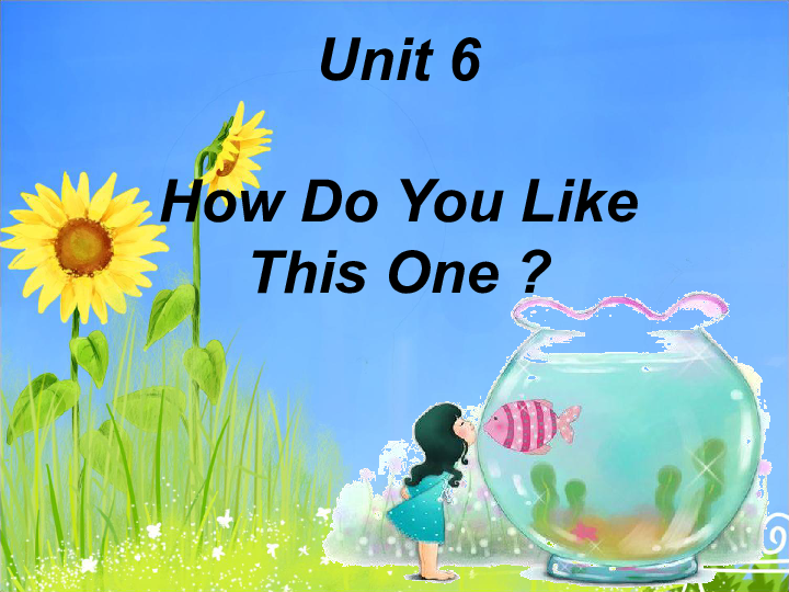 Unit 6 How Do You Like This One 课件 (共19张PPT)