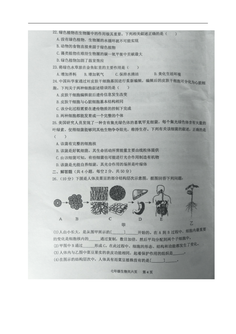 山东省济宁市汶上县2019-2020学年七年级下学期期末考试生物试题（图片版含答案）