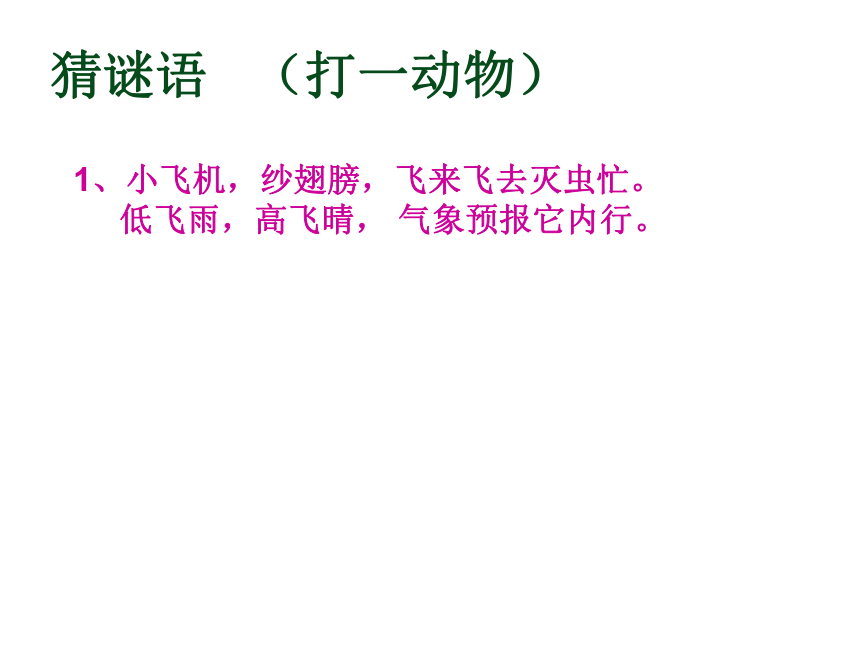 新人教版一年级下册语文《动物儿歌》课件