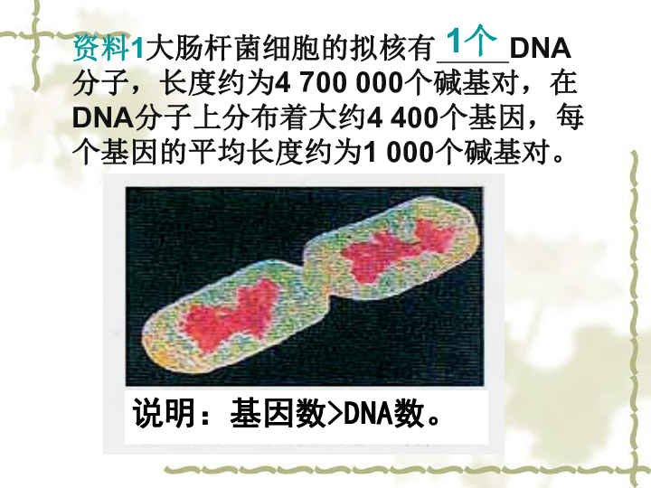 人教版高中生物必修二第3章第4节基因是有遗传效应的DNA片段  课件共29张PPT