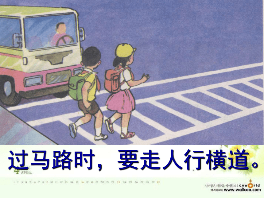 品德与社会三年级下粤教版1.2注意交通安全课件（31张）