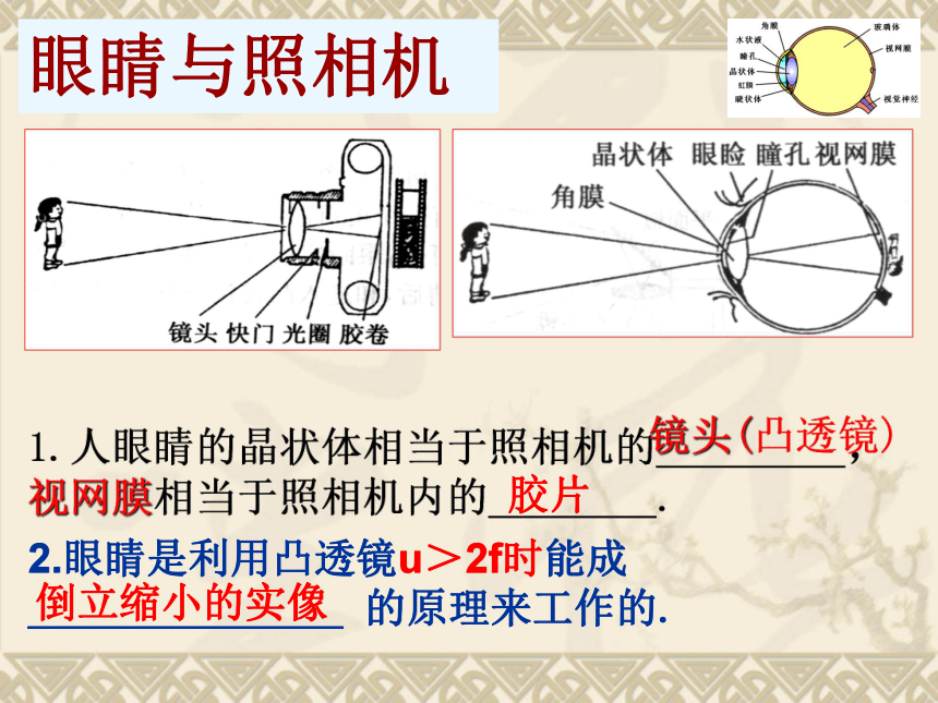 第14课《照相机和眼睛》 课件2