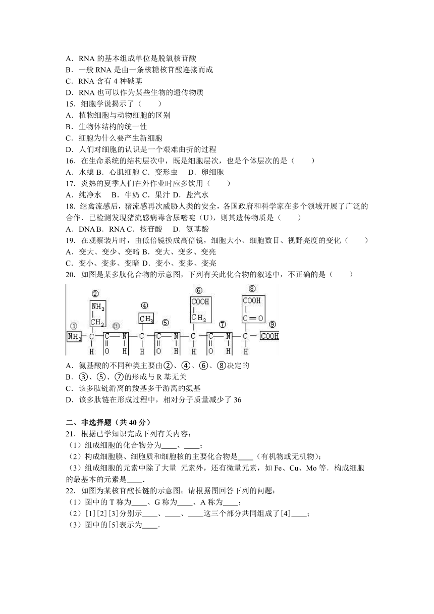 西藏山南二中2016-2017学年高一（上）期中生物试卷（解析版）