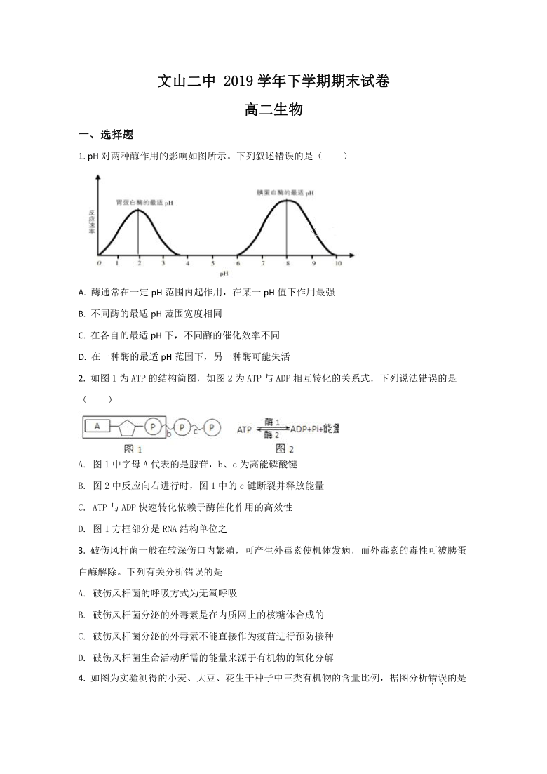 云南省文山市二中2019-2020学年高二下学期期末考试生物试卷  解析版