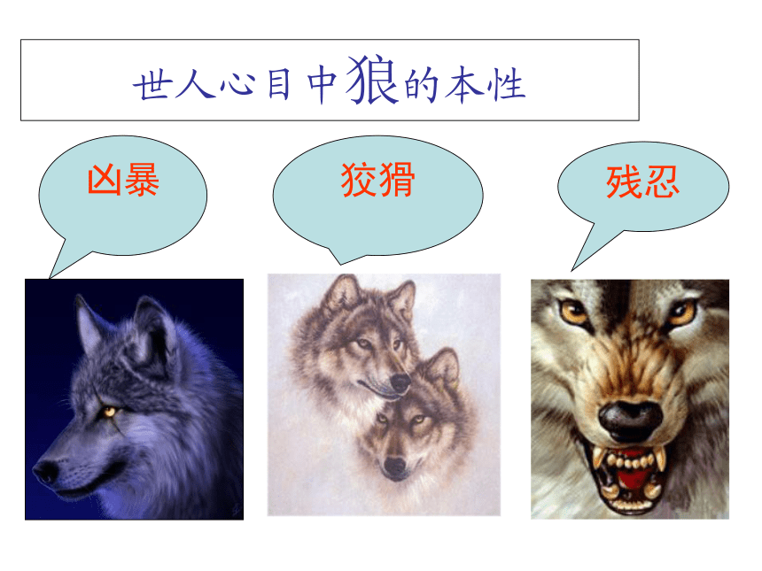 七年级语文下册（人教版）教学课件：30.狼（共36张PPT）