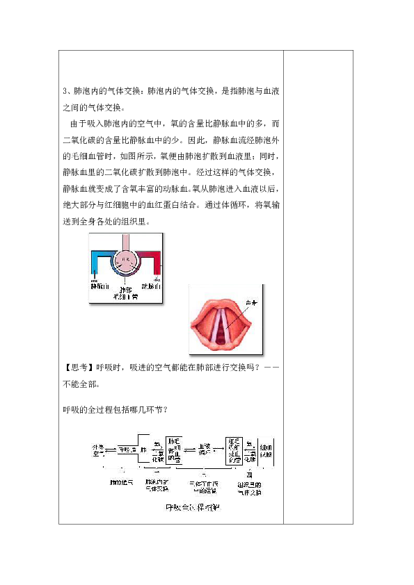 浙教版科学八年级下册3.5《生物的呼吸和呼吸作用》教案