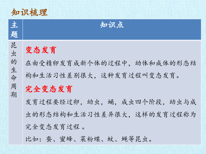 四年级下册科学复习课件-第一课 昆虫的生活-北京课改版(共20张PPT)