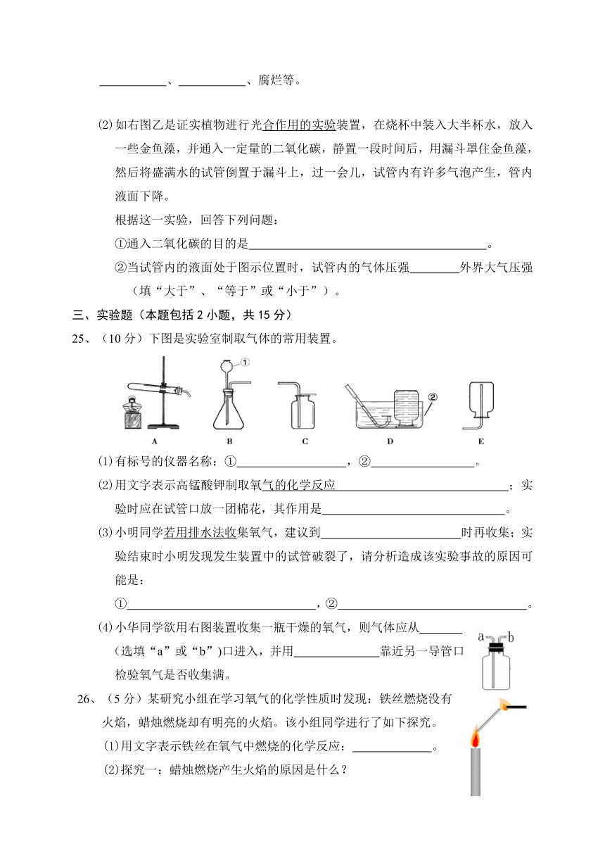 广东省茂名市第二十中学2017届九年级上学期期中考试化学试题