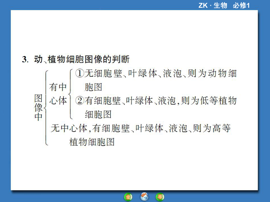 【课堂新坐标，同步备课参考】2013-2014学年高中生物（浙科版）必修1课件：章末归纳提升2第2章 细胞的结构（共48张PPT）