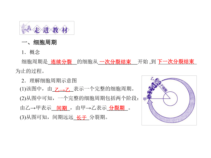 苏教版生物必修1第一节《细胞增殖》课件1