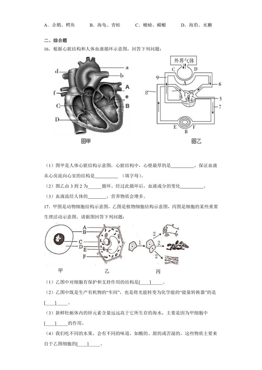 江西省吉安市吉安县文博国际学校2021-2022学年上学期 期中考试 九年级生物试卷（word版 含解析）